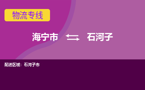 海宁市到石河子物流专线-海宁市至石河子物流公司-海宁市至石河子货运专线