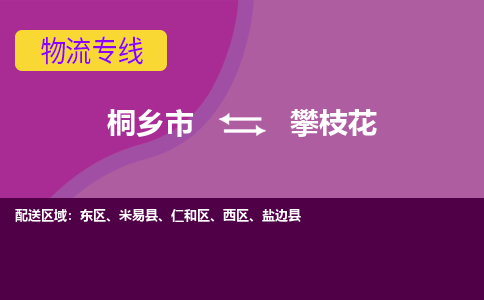 桐乡市到攀枝花物流公司,桐乡市到攀枝花货运,桐乡市到攀枝花物流专线