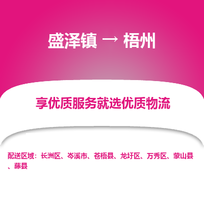 盛泽镇到梧州物流专线-盛泽镇至梧州物流公司-盛泽镇至梧州货运专线