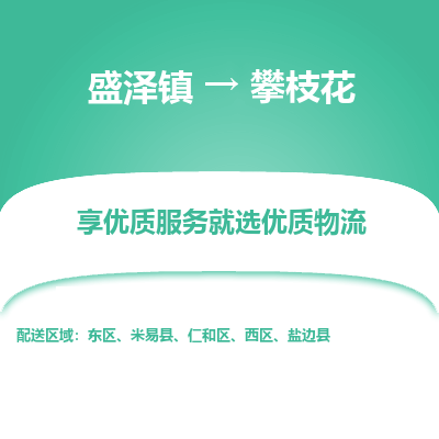 盛泽到攀枝花物流专线-盛泽镇至攀枝花物流公司-盛泽镇至攀枝花货运专线