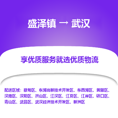 盛泽镇到武汉物流专线-盛泽镇至武汉物流公司-盛泽镇至武汉货运专线