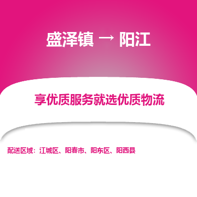 盛泽镇到阳江物流专线-盛泽镇至阳江物流公司-盛泽镇至阳江货运专线