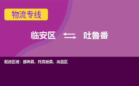 临安到吐鲁番物流专线-临安区至吐鲁番物流公司-临安区至吐鲁番货运专线