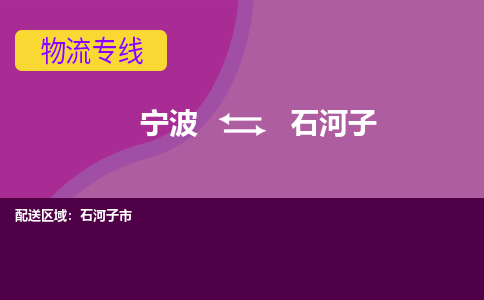 宁波到石河子物流公司,宁波到石河子货运,宁波到石河子物流专线